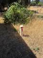 0 Lone Pine Drive - Photo 20