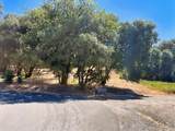 0 Lone Pine Drive - Photo 21