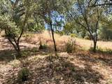 0 Lone Pine Drive - Photo 6