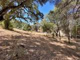0 Lone Pine Drive - Photo 8