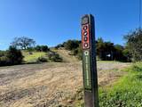 615 Oak Manor Drive - Photo 59