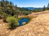 3550 Chinquapin Drive - Photo 4