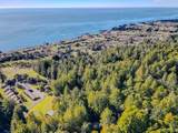 384 Madrone Meadow - Photo 44