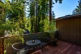 9079 Middle Terrace - Photo 40