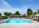 316 Deer Hollow Drive - Photo 83