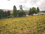 2250 Lake County Highway - Photo 16