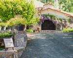 2250 Lake County Highway - Photo 4