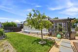 703 Sequoia Street - Photo 38