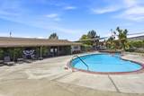703 Sequoia Street - Photo 45