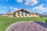 1597 Alamo Drive - Photo 48