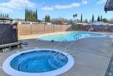 1597 Alamo Drive - Photo 50