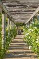 1032 Ponti Road - Photo 30