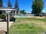 5935 Live Oak Drive - Photo 17