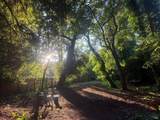 16124 Drake Road - Photo 14