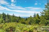 24680 Ten Mile Road - Photo 28