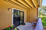 8201 Camino Colegio Drive - Photo 37