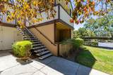 8201 Camino Colegio Drive - Photo 5