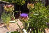 408 Buena Tierra Court - Photo 38