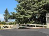 2060 Hagen Road - Photo 53