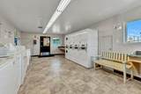37 Catalpa Drive - Photo 49