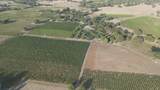 21365 Shenandoah School Road - Photo 40