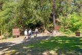 4100 Petrified Forest Road - Photo 56
