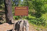 4100 Petrified Forest Road - Photo 61