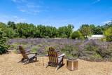 4550 Soda Bay Road - Photo 40