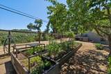 10 Fawn Ridge - Photo 36