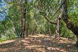 10 Fawn Ridge - Photo 45