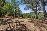 10 Fawn Ridge - Photo 47