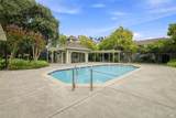 184 Agua Caliente Road - Photo 4