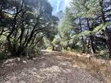 6675 Petersen Road - Photo 24