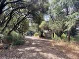 6675 Petersen Road - Photo 41