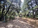 6675 Petersen Road - Photo 62