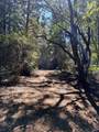 45400 Bill Owens Road - Photo 1