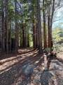 45400 Bill Owens Road - Photo 12
