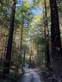 45400 Bill Owens Road - Photo 4