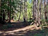 45400 Bill Owens Road - Photo 8