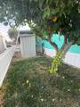 50 River Road - Photo 25