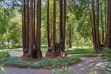 14093 Sosna Way - Photo 28