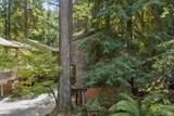 14093 Sosna Way - Photo 36