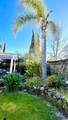 41 Presidio Drive - Photo 47