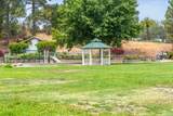 41 Presidio Drive - Photo 61