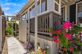 705 Sequoia Street - Photo 36