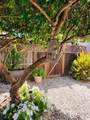 705 Sequoia Street - Photo 52