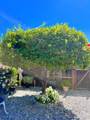 705 Sequoia Street - Photo 55