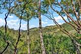 40 Los Pinos - Photo 79