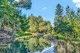 40 Los Pinos - Photo 91