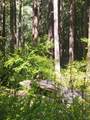 40440 Garcia River Road - Photo 52